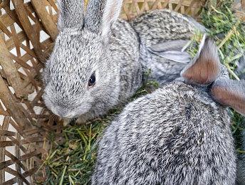 《饿狼传说：群狼之城》 实现与11位全球知名DJ的联名合作！